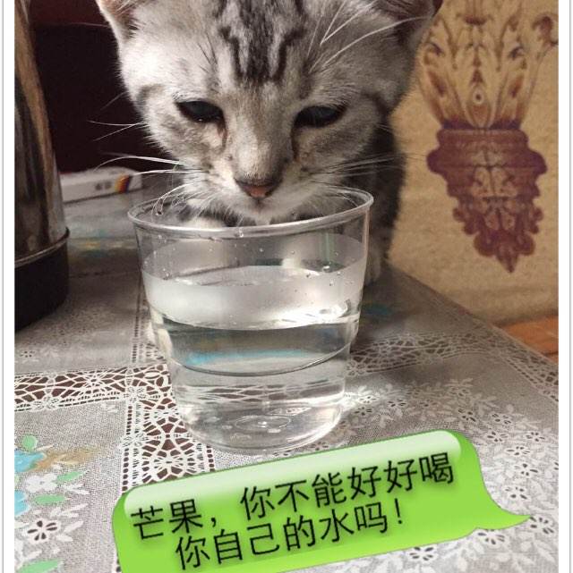 快速代办驾驶证